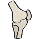 Orthopedi