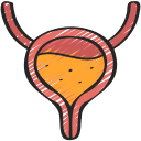 Urologi